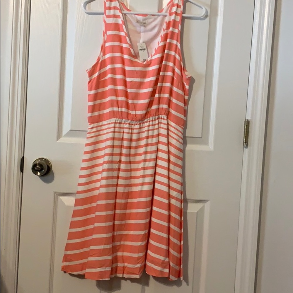 Gap Coral Stripe Tank Dress